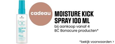 Schwarzkopf Gift Banner Aug 2026