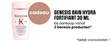 Genesis Gift Banner