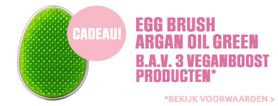 Veganboost Gift Banner