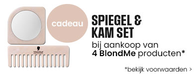 BlondMe Gift Banner
