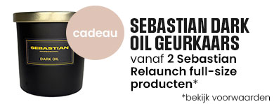 Sebastian Gift Banner Feb 26