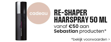 Sebastian Gift Banner BF 2025