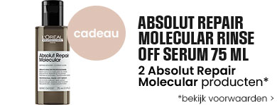 Loreal Gift Banner BF 2025