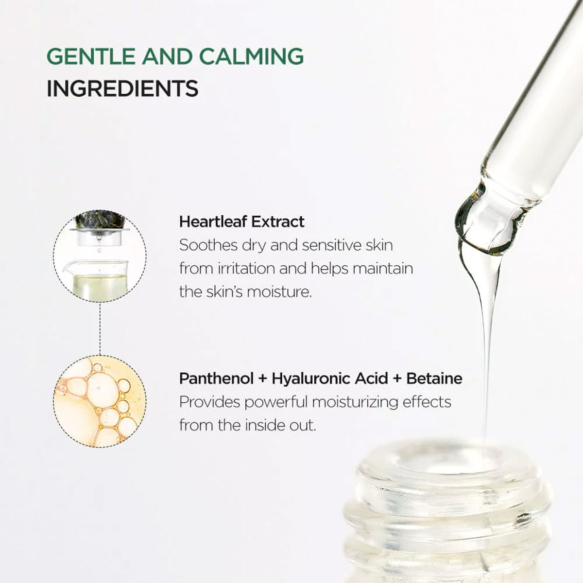 Anua - Heartleaf 80% Soothing Ampoule - 30 ml 6