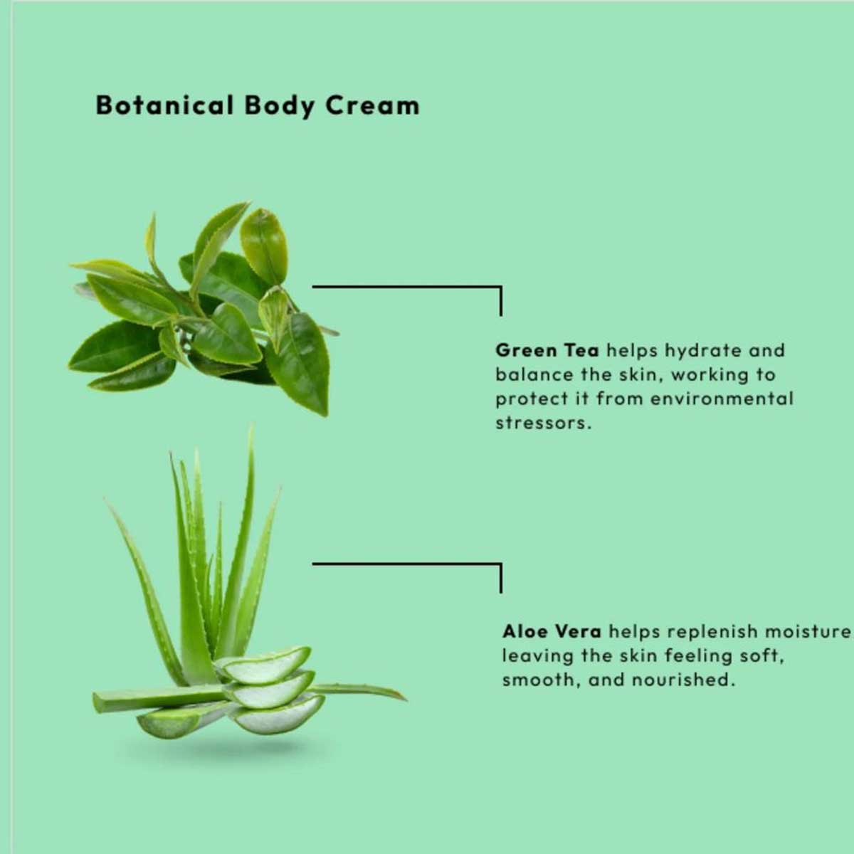 BCL SPA - Radiance Body Cream - Green Tea - 88 ml 3