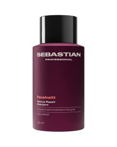 Sebastian Penetraitt Rescue Repair Shampoo