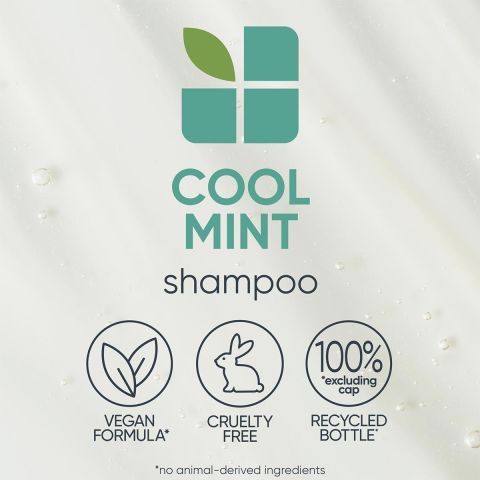Biolage - ScalpSync - Cooling Mint Shampoo