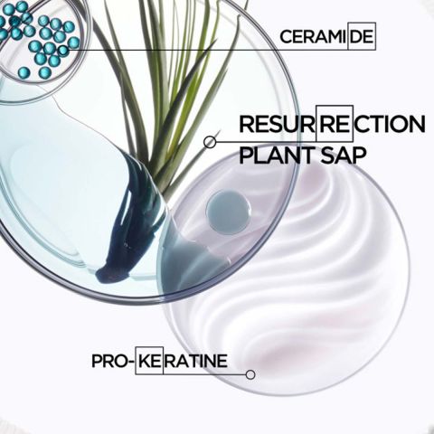 Kérastase - Résistance Bain Force Architecte Herstellende Shampoo voor Beschadigd Haar - 500 ml