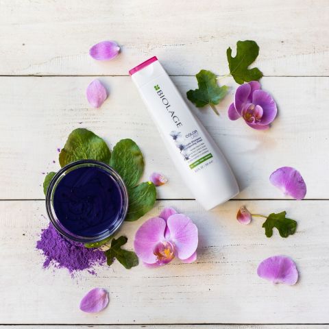 Biolage ColorLast Purple Shampoo