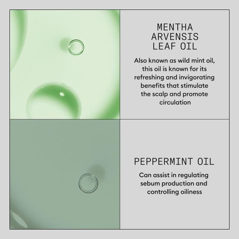 NIOXIN - Haar Booster Serum 100 ml