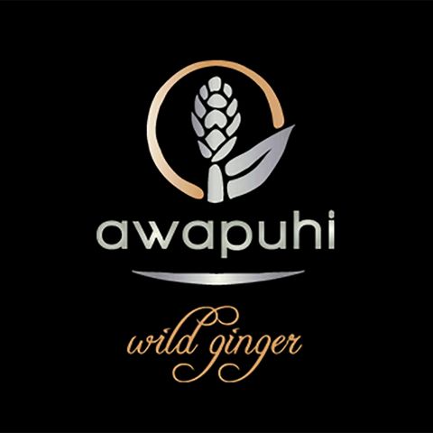 Paul Mitchell - Awapuhi Wild Ginger - MirrorSmooth High Gloss Primer