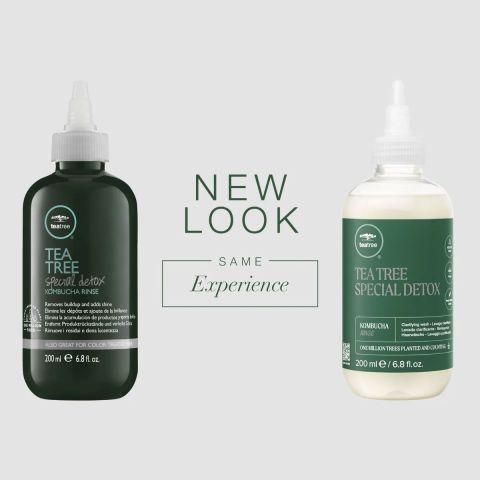 Paul Mitchell - Tea Tree - Special Detox - Kombucha Rinse - 201 ml