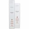L'Anza - Healing Volume - Voordeelset