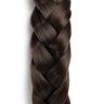 Infinity Braids - Lizzy Auburn Sugar