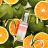 St.Tropez - Self Tan Purity Vitamins - Bronzing Serum - 50 ml 2
