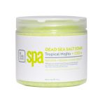 BCL SPA - Dead Sea Salt Soak Tropical Mojito - 454 gr