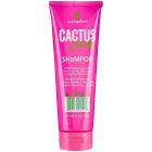 Lee Stafford - Cactus Crush - Succulent Shampoo voor Zeer Droog Haar - 250 ml