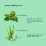 BCL SPA - Radiance Body Cream - Green Tea - 88 ml