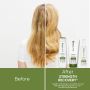 Biolage - Strength Recovery - Shampoo voor beschadigd haar - 250 ml