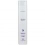 Lanza - Healing smooth Glossifying Shampoo