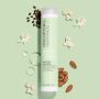 Paul Mitchell - Clean Beauty - Anti-Frizz Shampoo