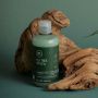 Paul Mitchell Tea Tree Special Shampoo