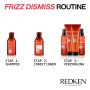 Redken - Frizz Dismiss Rebel Tame Leave-in-crème tegen Pluis - 250 ml
