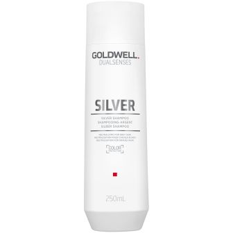 goldwell dualsenses silver shampoo