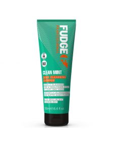 Fudge - Clean Mint Shampoo - 250 ml