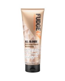 Fudge - All Blonde - Colour Lock - Shampoo