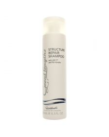 Great Lengths - Structure Repair Shampoo - 250 ml