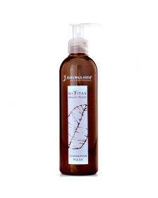Jean Paul Myne Navitas Organic Mask Cinnamon