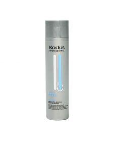 Kadus - Scalp - Purifying Shampoo - 250 ml