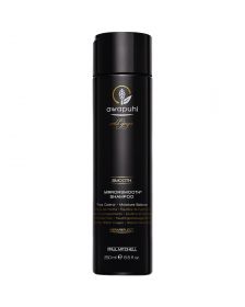 Paul Mitchell Awapuhi Mirrorsmooth SF Shampoo