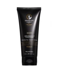 Paul Mitchell Awapuhi Mirrorsmooth Conditioner