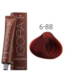 Schwarzkopf - Igora - Color 10 - 6-88 Donkerblond Rood Extra - 60 ml