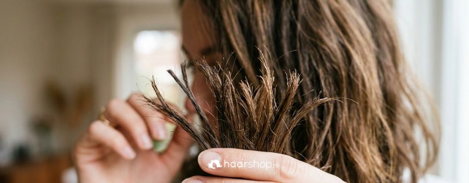 5 Vragen over Gespleten Haarpunten beantwoord!