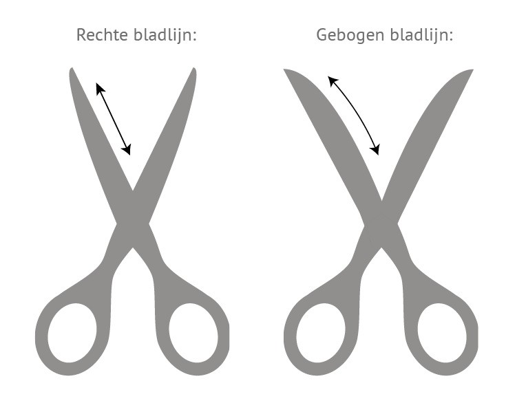 Rechte bladlijn en Gebogen bladlijn