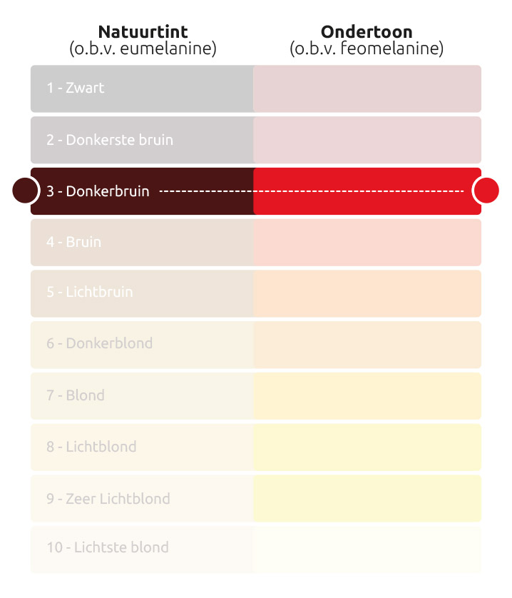 Donkerbruine Natuurtint met bijbehorende Rode Ondertoon in het haar