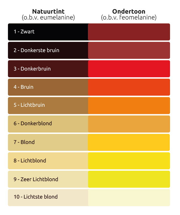 Natuurtinten met bijbehorende Ondertonen in het haar