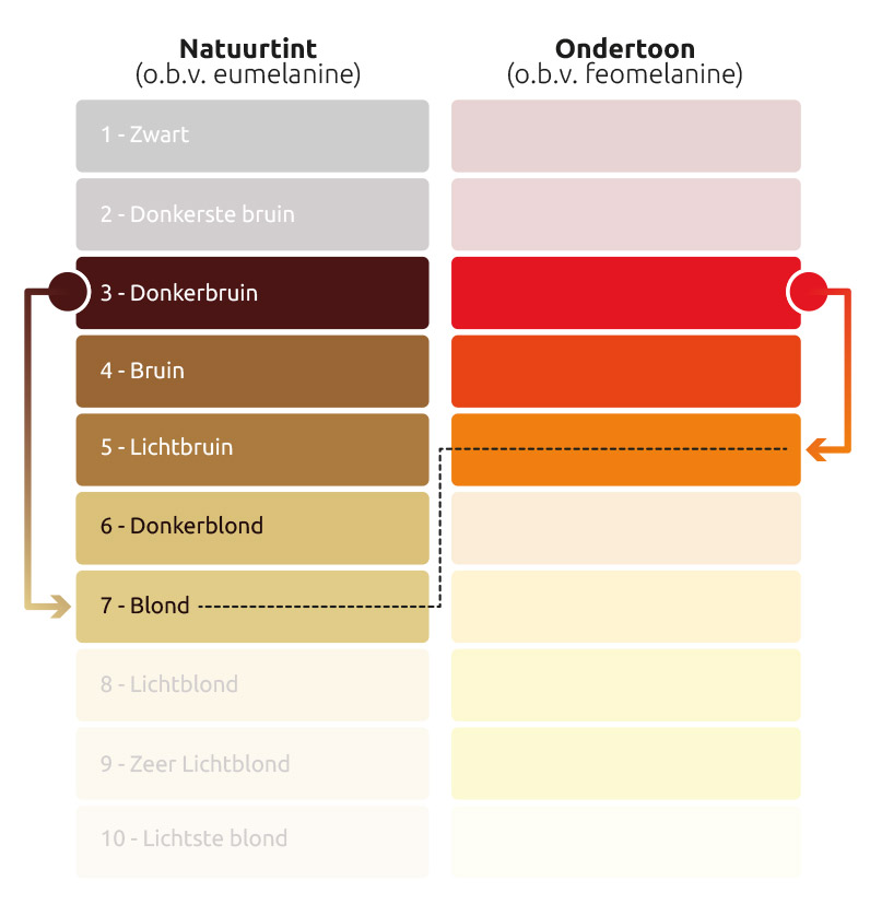 Help! ik heb een oranje gloed in mijn haar! haarshop.nl Hoe krijg ik de kleur bruin