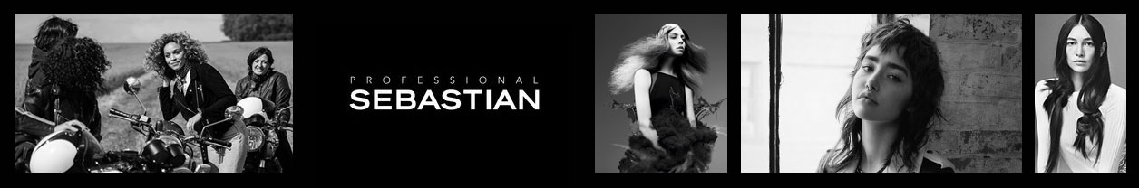 Sebastian Professional Sebastian Professional